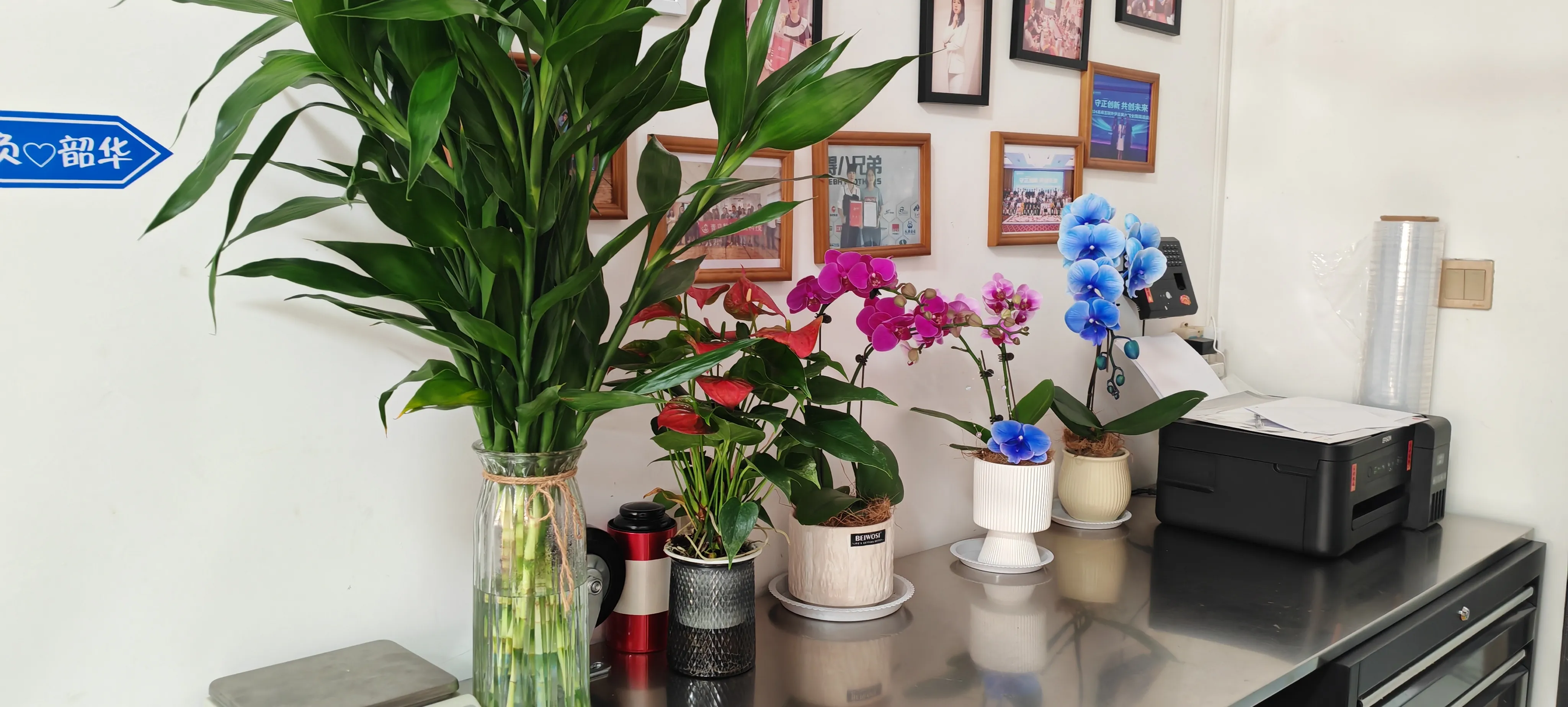 Vítejte nové přátele JOJO Pack!