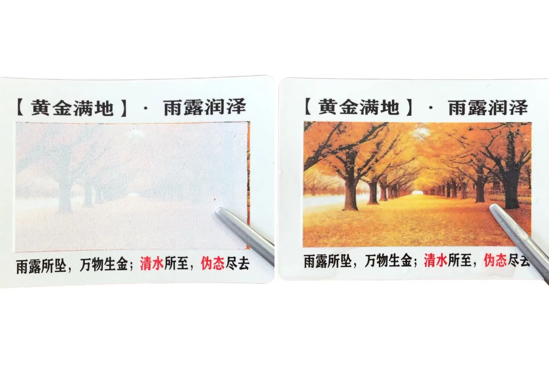 Znáte etikety citlivé na změnu barvy?